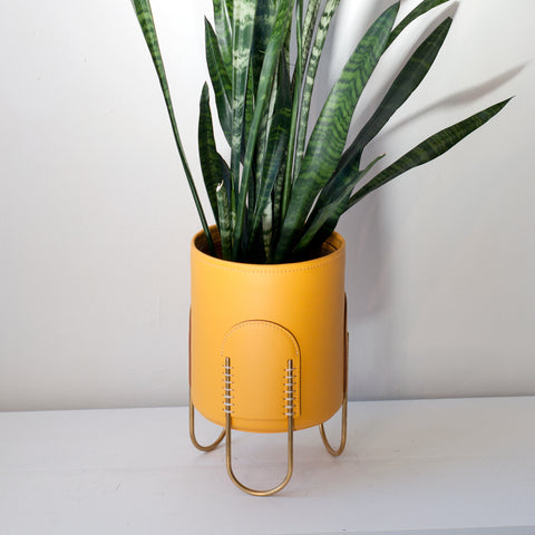 Queen Plant Stand/ Amarillo Yellow
