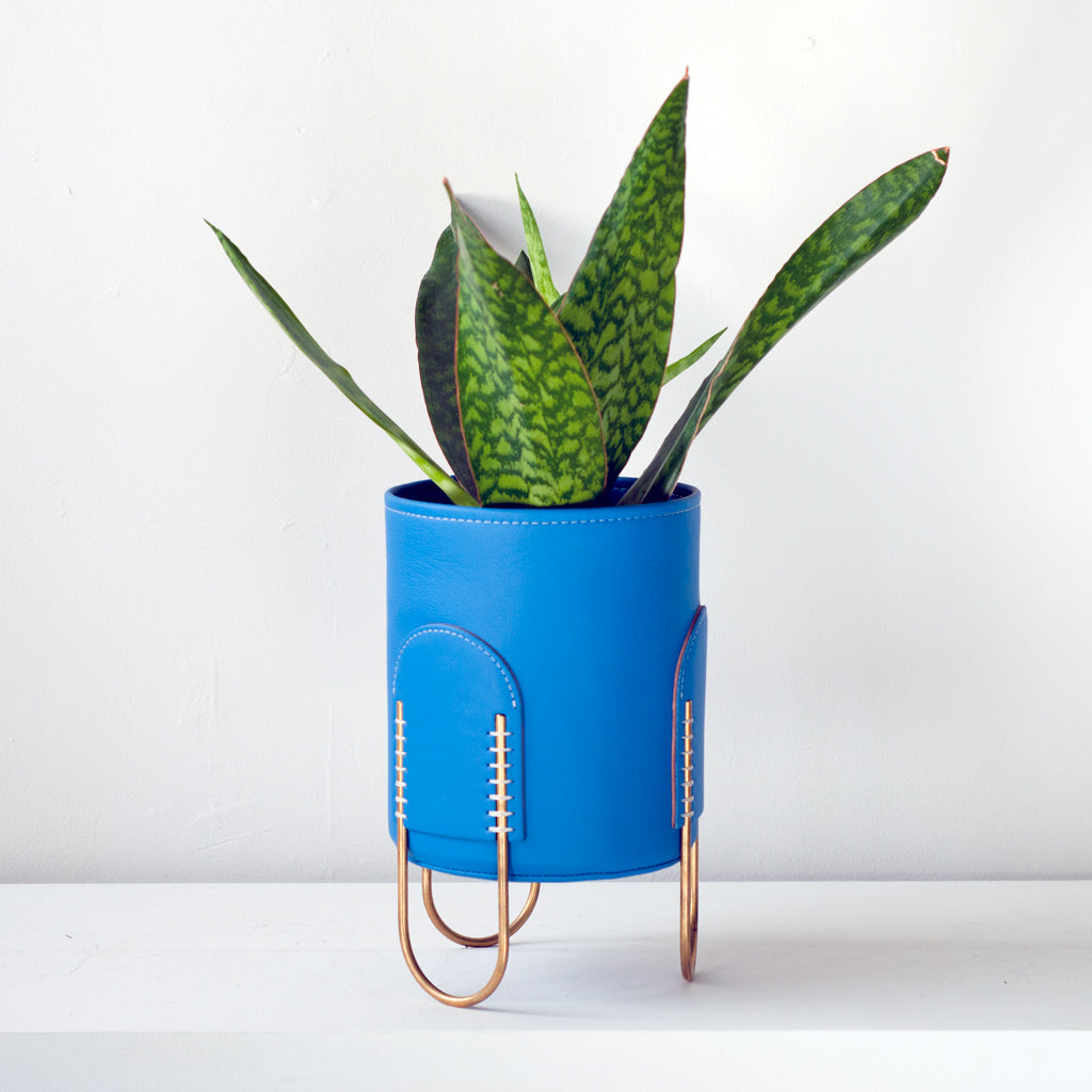 Queen Plant Stand-Azur Blue