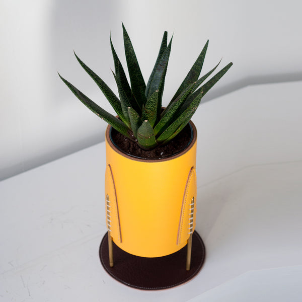 Mini Queen Planter -Amarillo