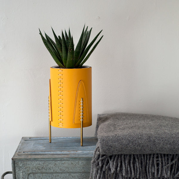Mini Queen Planter -Amarillo