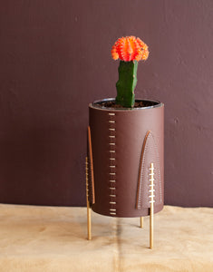 Mini Queen Planter -Brazil