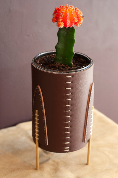 Mini Queen Planter -Brazil