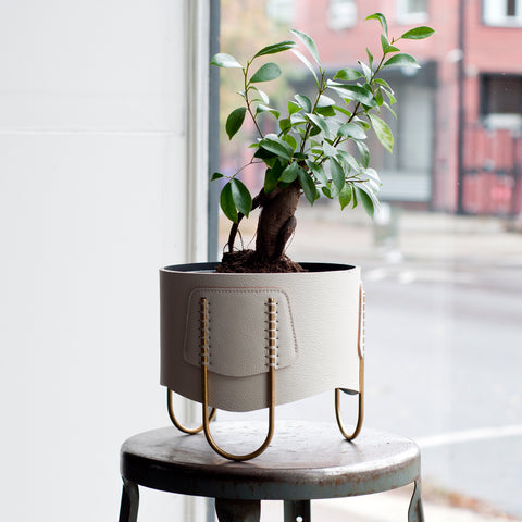 Shallow Queen Planter-Off White