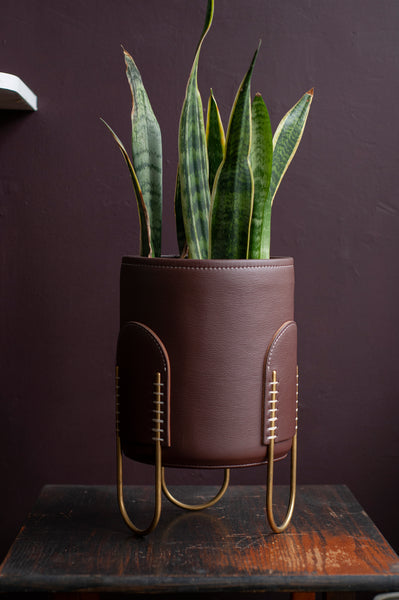 Queen Plant Stand-Brazil Brown