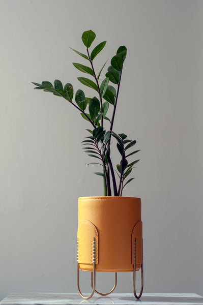 Queen Plant Stand/ Amarillo Yellow