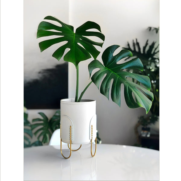 Queen Plant Stand / Off-White