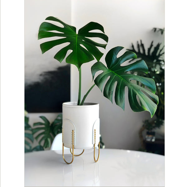 Queen Plant Stand / Off-White