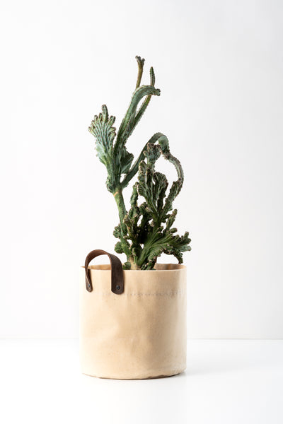 Waxed Canvas Planter Covers
