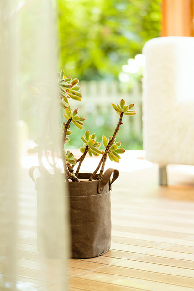 Waxed Canvas Planter Covers