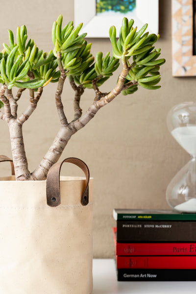 Waxed Canvas Planter Covers